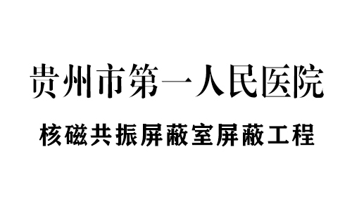 核磁共振（zhèn）屏蔽室/屏（píng）蔽工程案例
